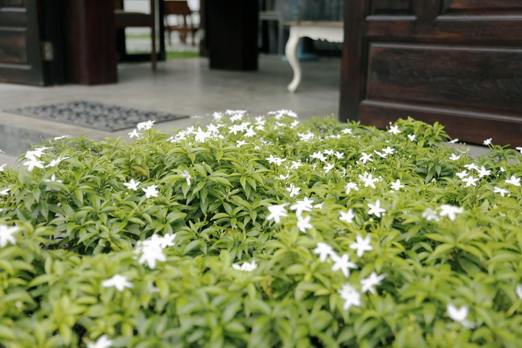 Hotel Mona Chiangmai Boutique Chiang Mai Exterior foto